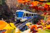 Un giro sul treno del foliage per ammirare la bellezza dell'autunno