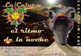 EL  RITMO DE LA NOCHE
