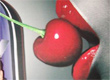 Foto Gallery