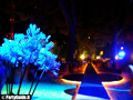 LA PRIMA NOTTE D'ESTATE 2011.....
